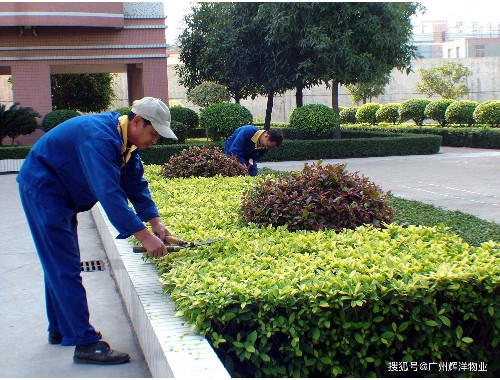 金年会金字招牌诚信至上：天长搞市政绿化是什么单位