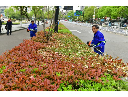 金年会金字招牌诚信至上：十大城市绿化